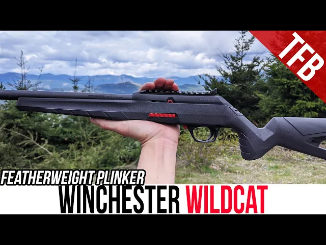 new winchester wildcat review: featherweight plinker